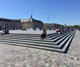 IMG_2153.jpeg